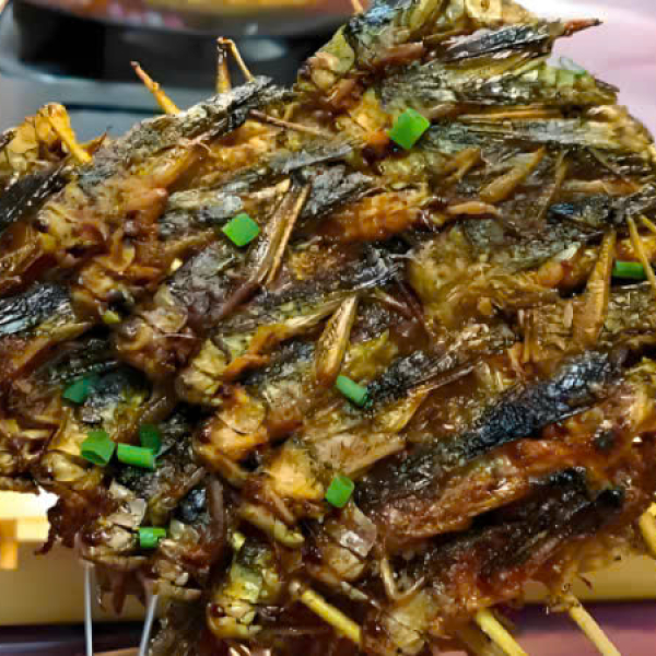 Côn trùng nướng
